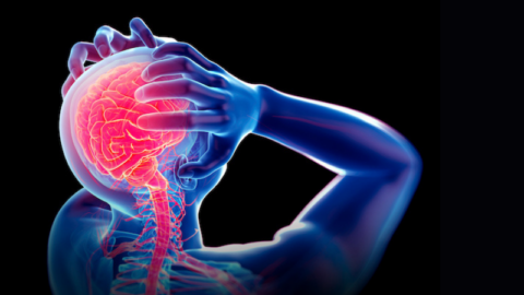 sports related concussion lm publishing