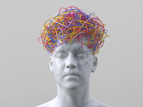 shutterstock 1379099603 copy