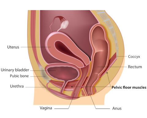 shutterstock 157672304 copy