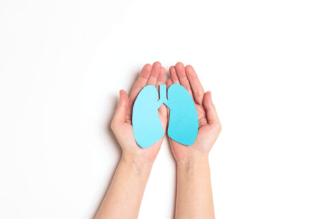 women's,hands,hold,a,lungs,symbol,on,white,background.,world
